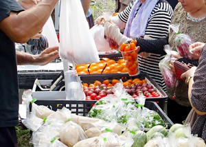 収穫祭 野菜販売