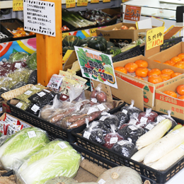 地産地消の店チコリ・はぴねす